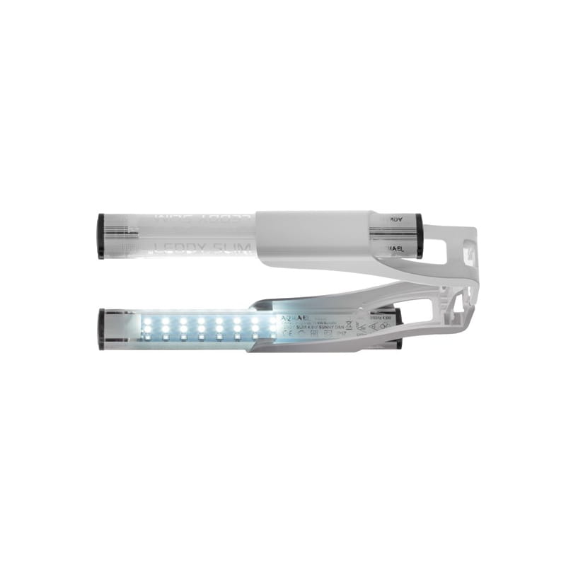 leddy slim dn3.jpg